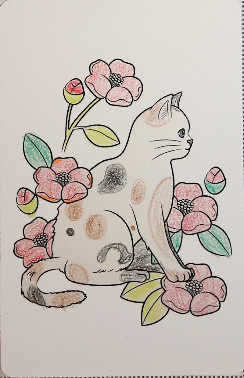 りっぴーの作品