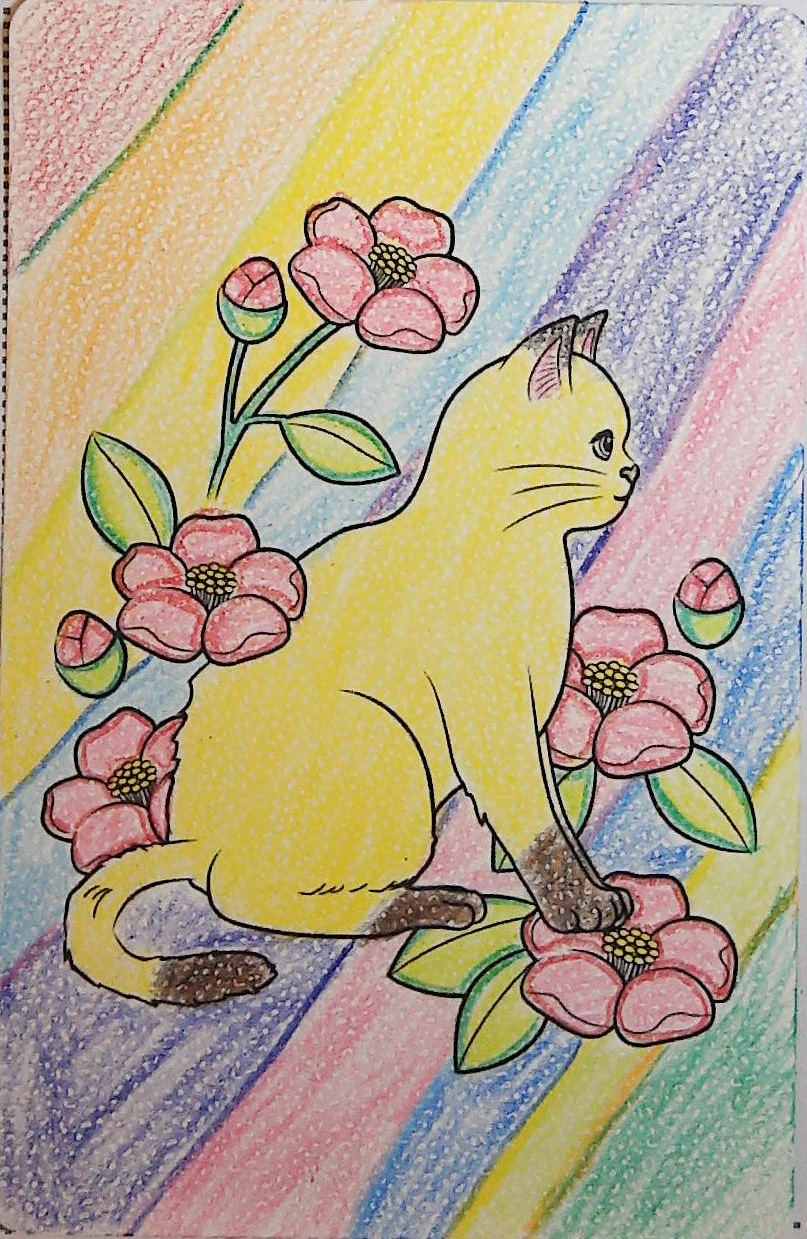 マオマオの作品