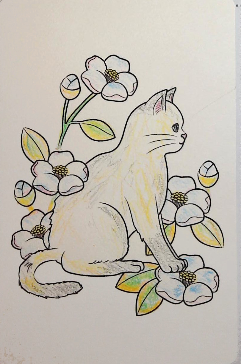 ほーちゃんの作品