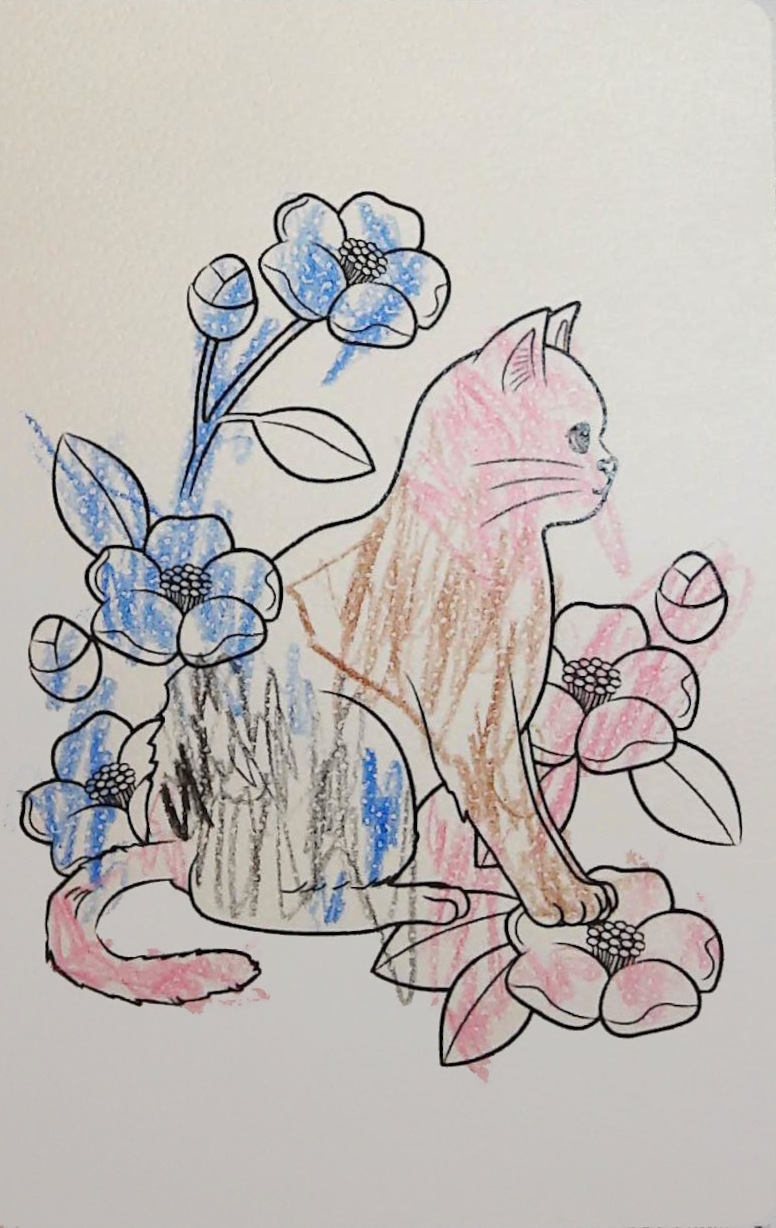 ライダーの作品