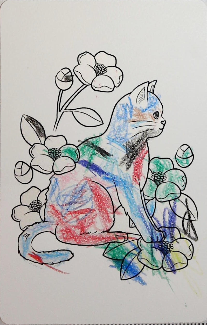 こーちゃんの作品