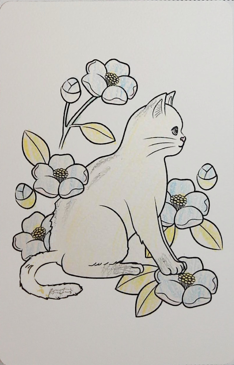 ゆきなんの作品