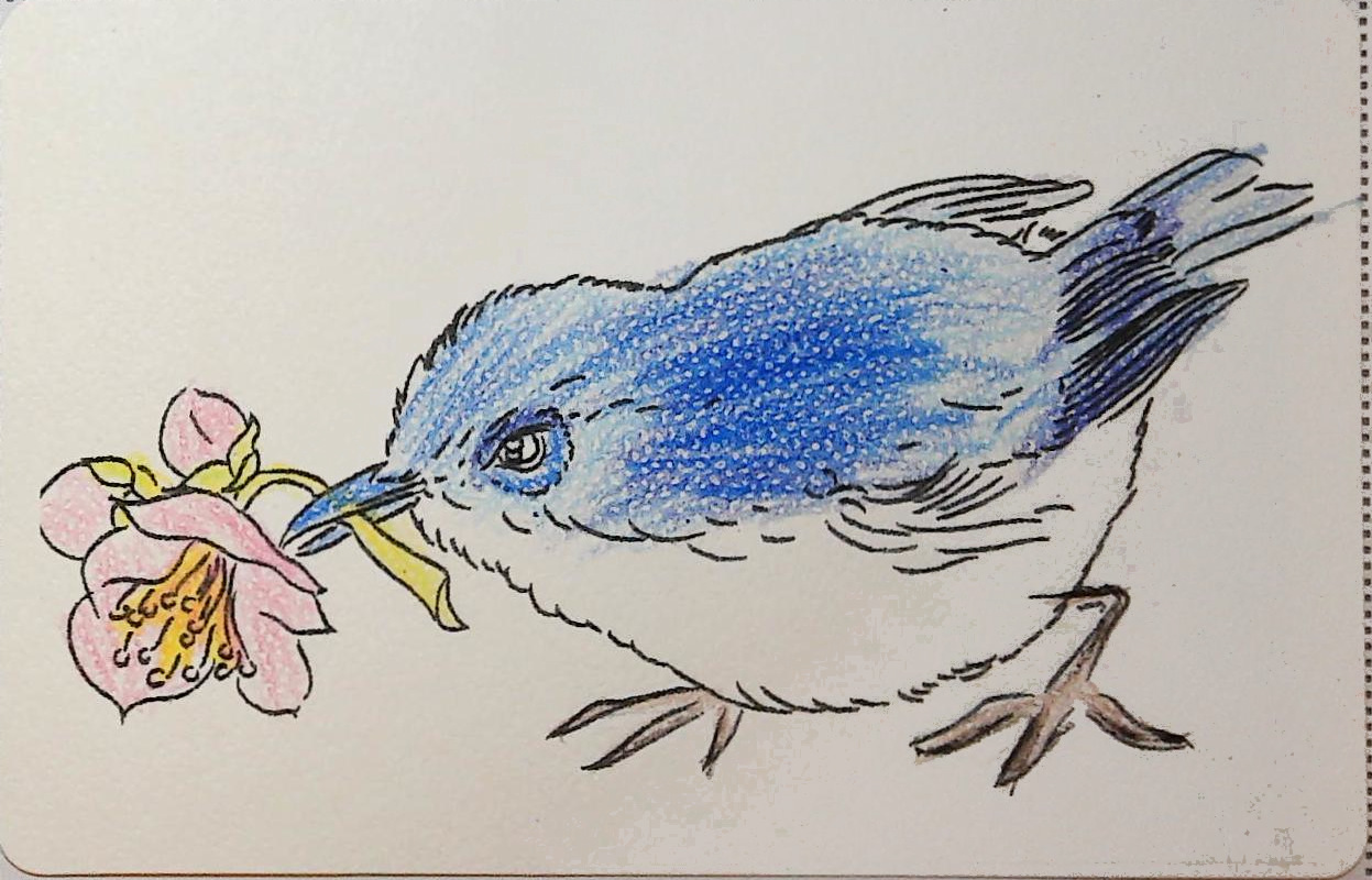 みんみんの作品