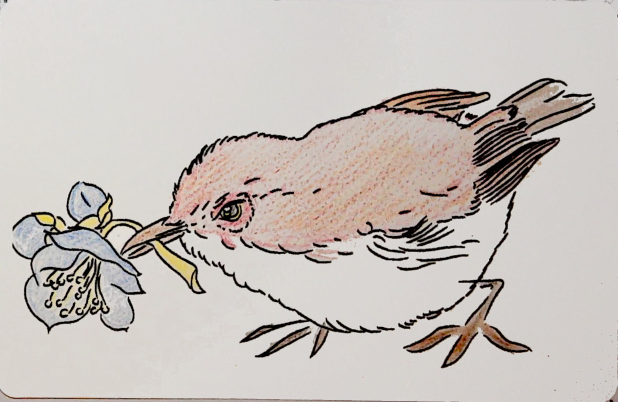 みすぱんの作品