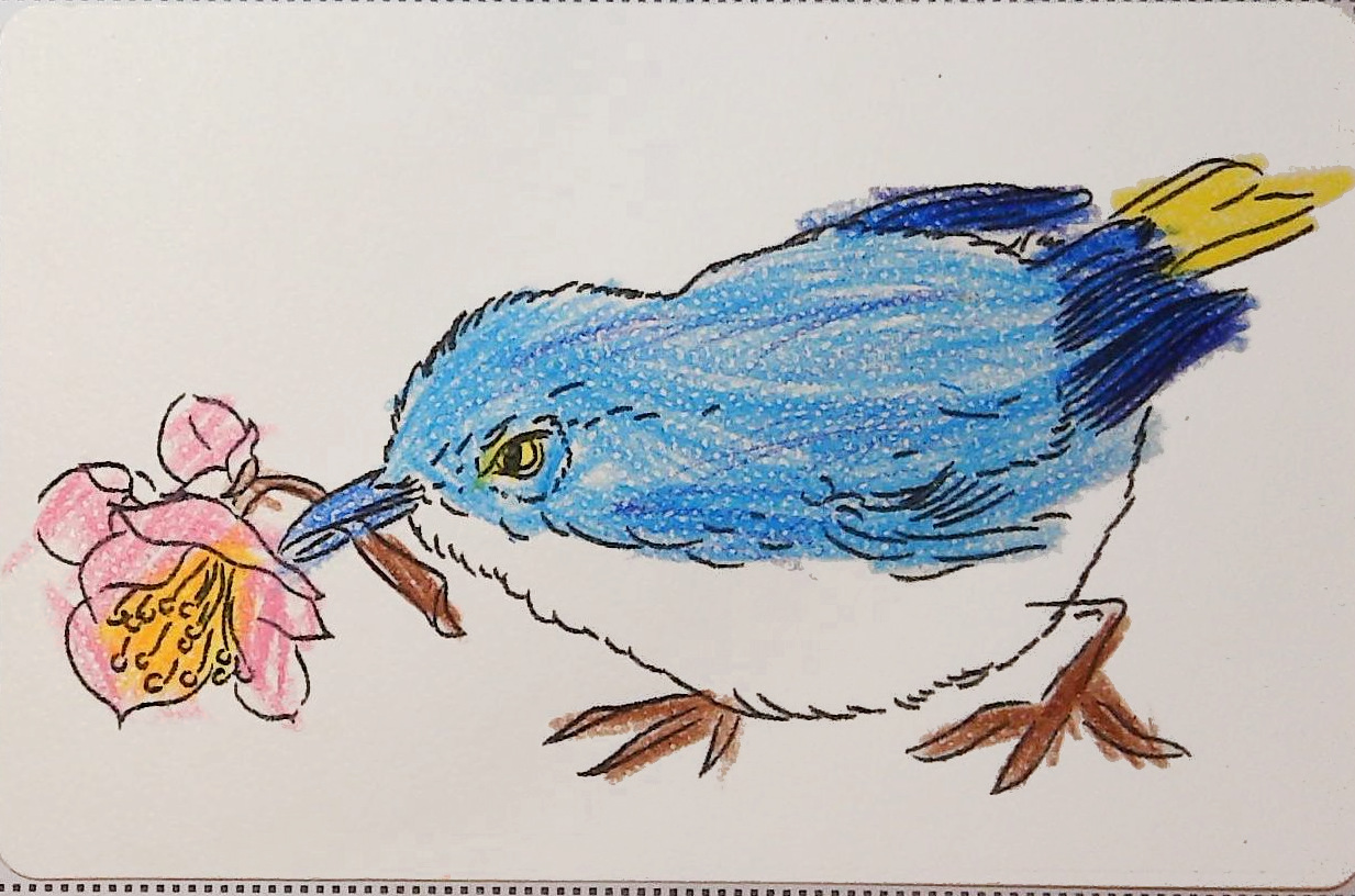 しゅんたの作品