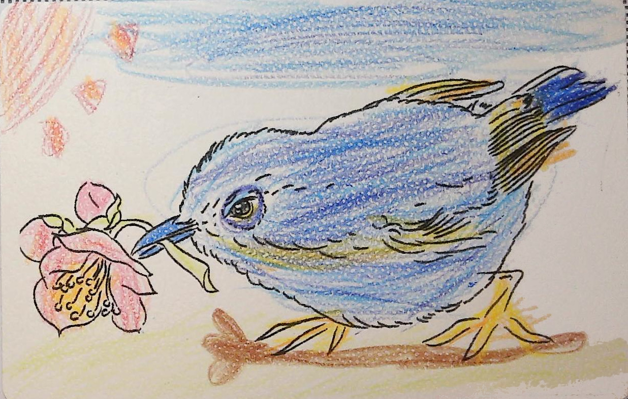 ゆいゆいの作品