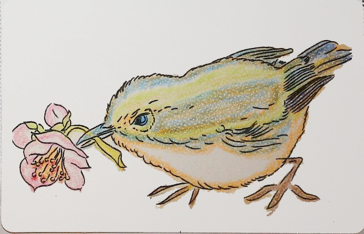 しげちゃんの作品