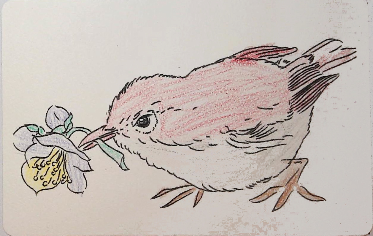 かかいとの作品