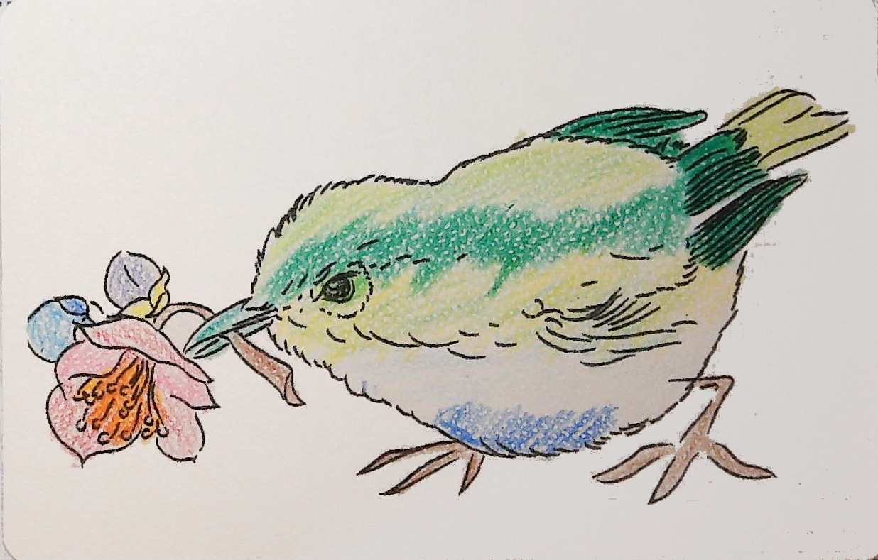 こんにちはさんの作品