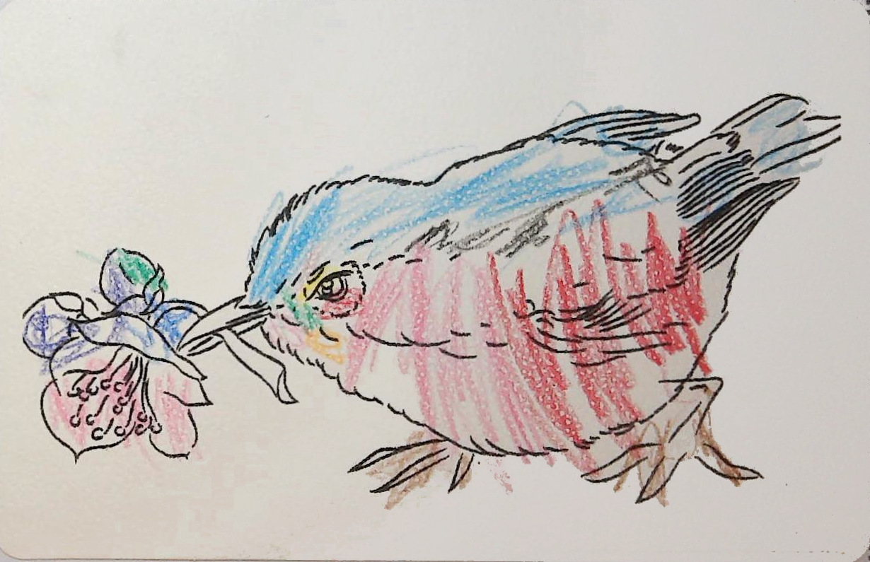 ゆうやんの作品