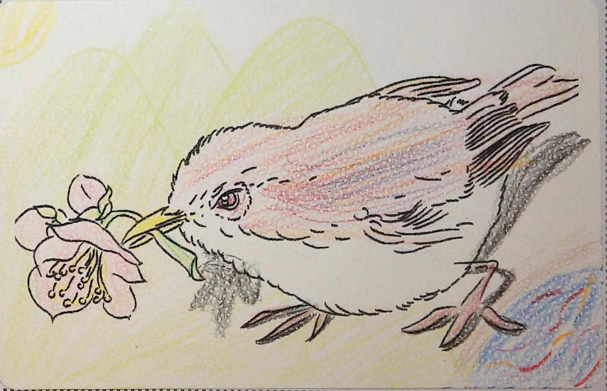 あおちゃんの作品