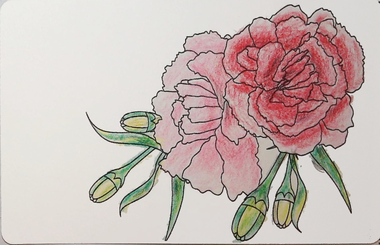 ヨコちゃんの作品