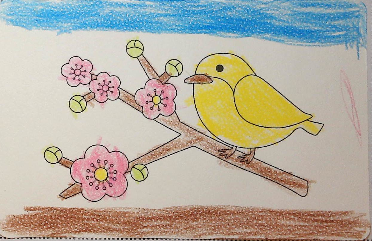 たくボーの作品